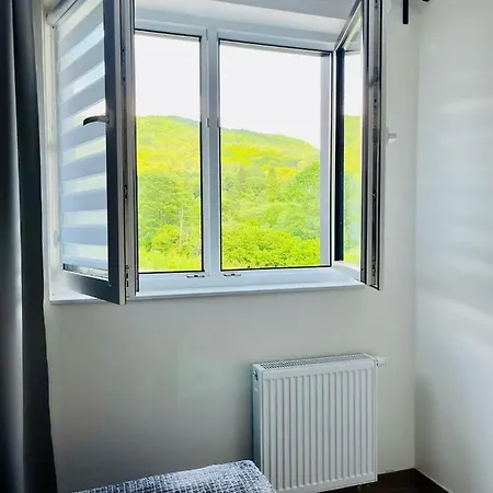 Ferienwohnung Bukowe Tarasy Wetlina Exterior foto